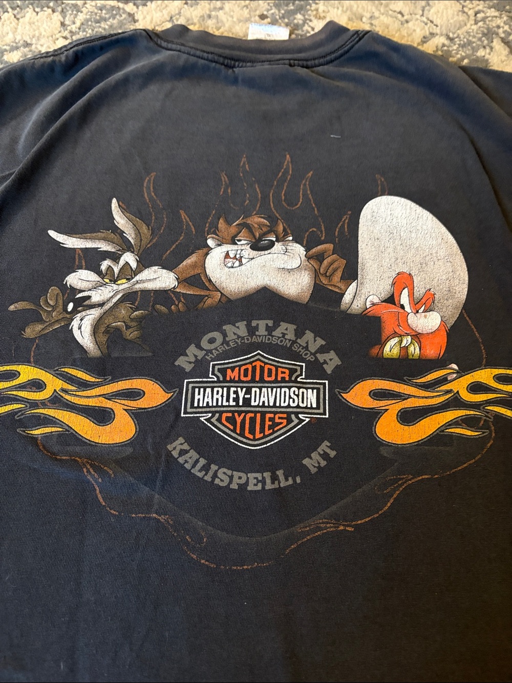 Vintage Harley-Davidson x Looney Tunes Y2K tshirt